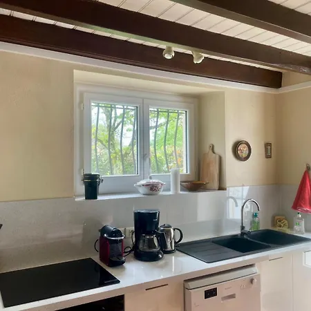 Grande Maison Familiale Avec Jardin- 10 Pers Au Coeur Du Bearn *