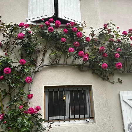 Grande Maison Familiale Avec Jardin- 10 Pers Au Coeur Du Bearn * Guinarthe-Parenties